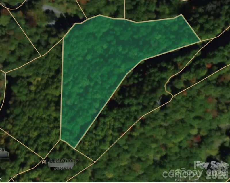 00 Seasons Dr Lot 43, Clyde, NC 28721