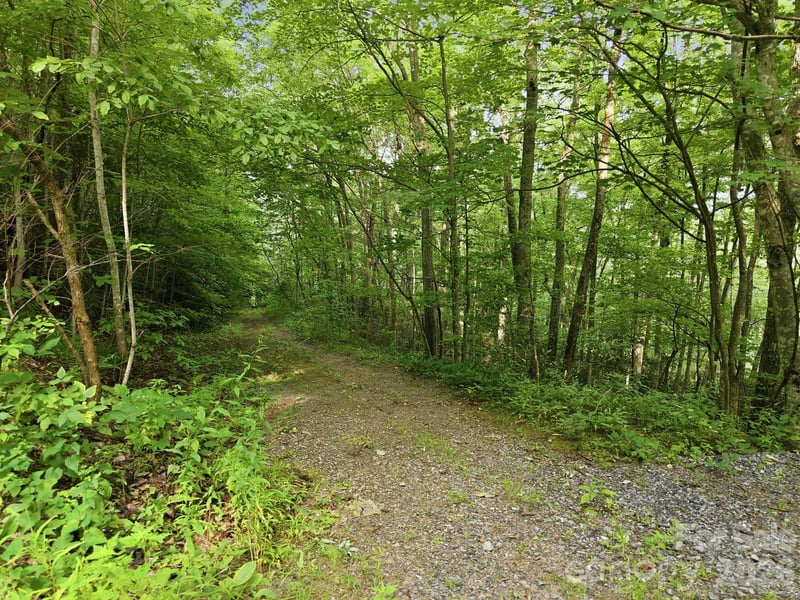 00 Seasons Dr Lot 43, Clyde, NC 28721