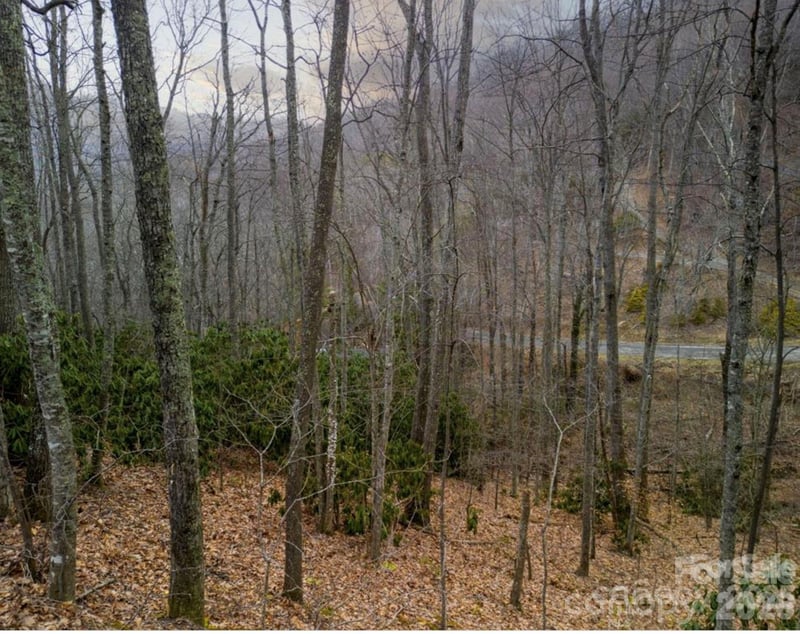 00 Seasons Dr Lot 43, Clyde, NC 28721