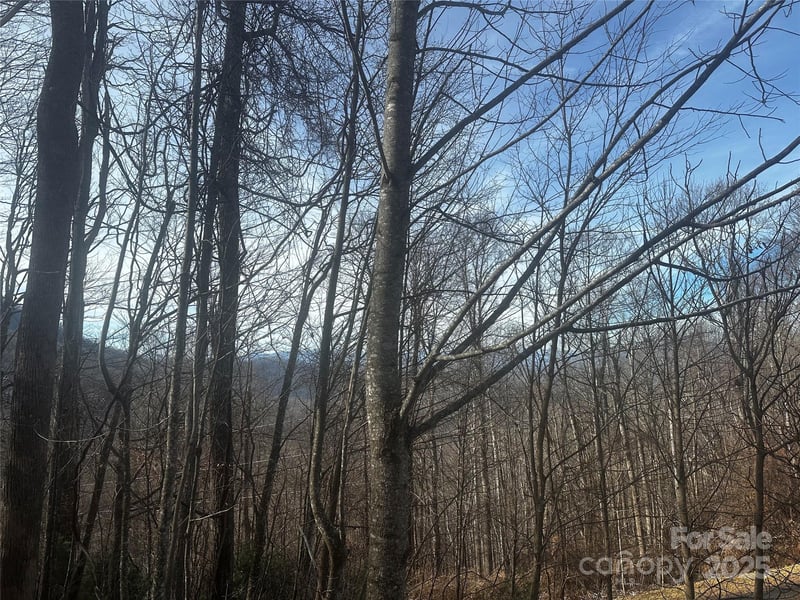 Wild Turkey Rd #21, Bakersville, NC 28705