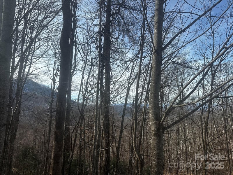 Wild Turkey Rd #21, Bakersville, NC 28705