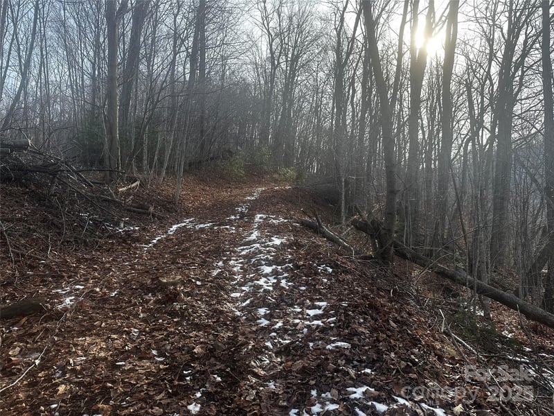 Wild Turkey Rd #21, Bakersville, NC 28705
