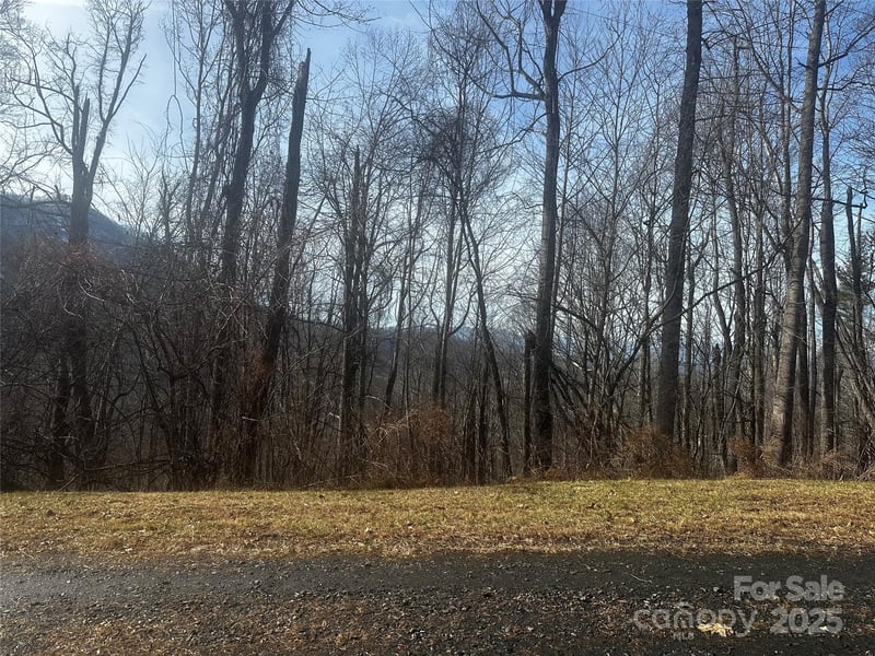 Wild Turkey Rd #21, Bakersville, NC 28705