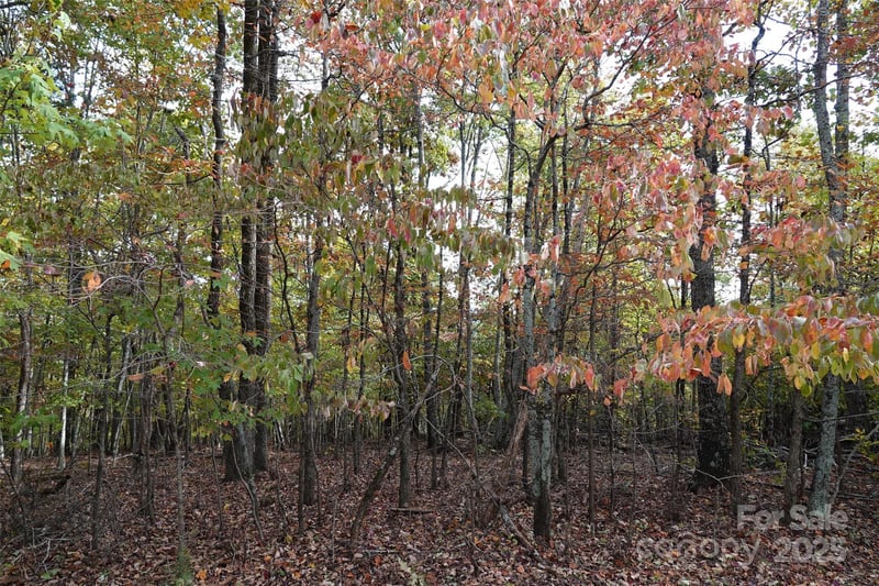 69 Adirondack Ln, Bostic, NC 28018