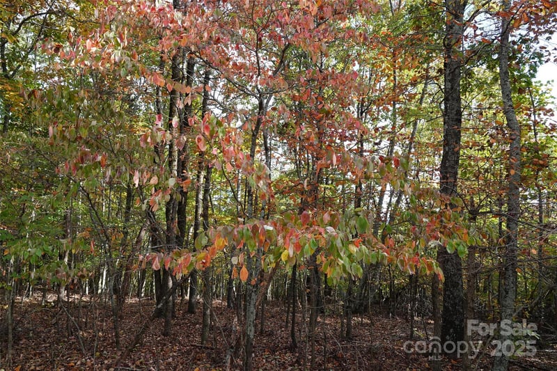 69 Adirondack Ln, Bostic, NC 28018