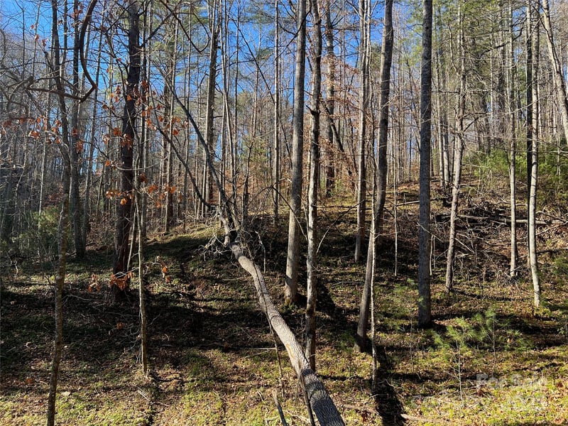 147 Falling Leaves Ln #50, Hendersonville, NC 28792