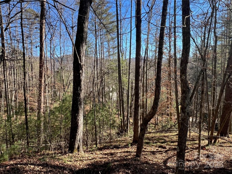 147 Falling Leaves Ln #50, Hendersonville, NC 28792