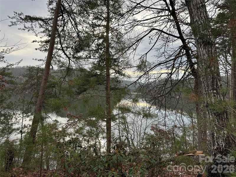 00 Jackson Cove Rd #2, Mill Spring, NC 28756