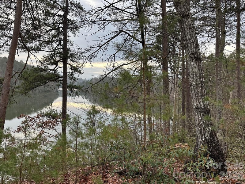 00 Jackson Cove Rd #2, Mill Spring, NC 28756