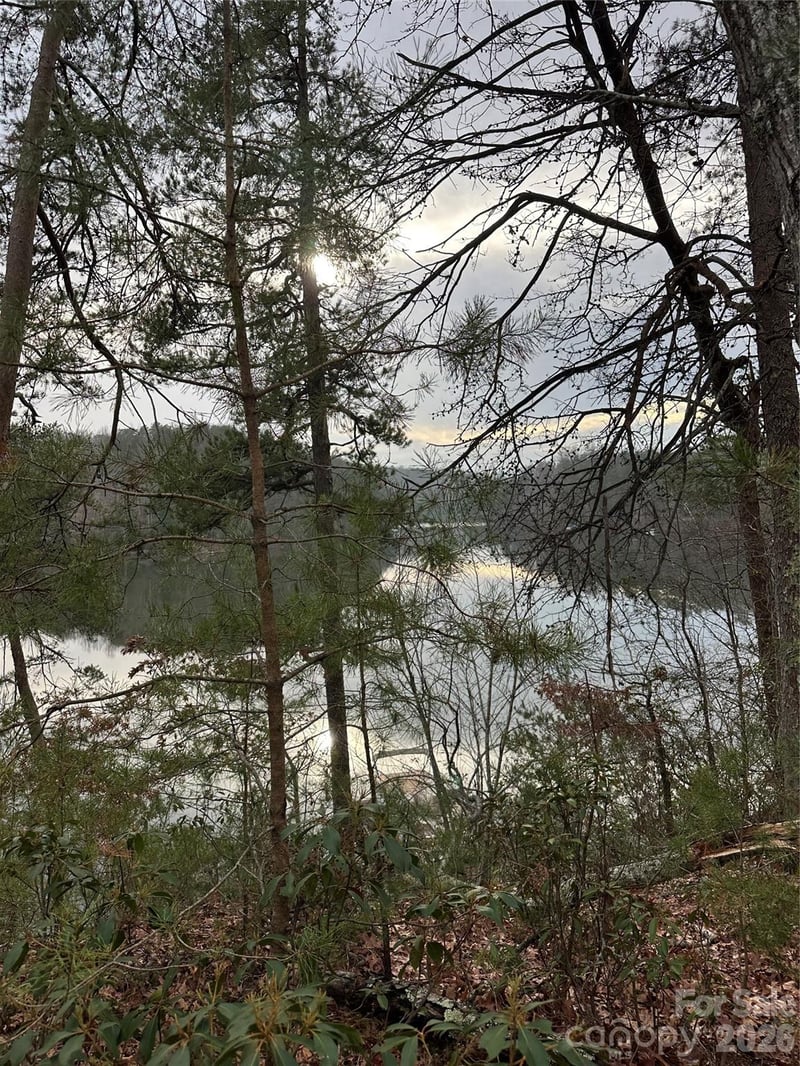 00 Jackson Cove Rd #2, Mill Spring, NC 28756