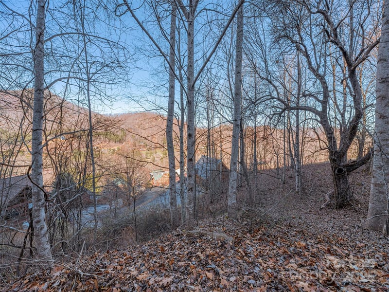 000 Appalachian Trl, Maggie Valley, NC 28751