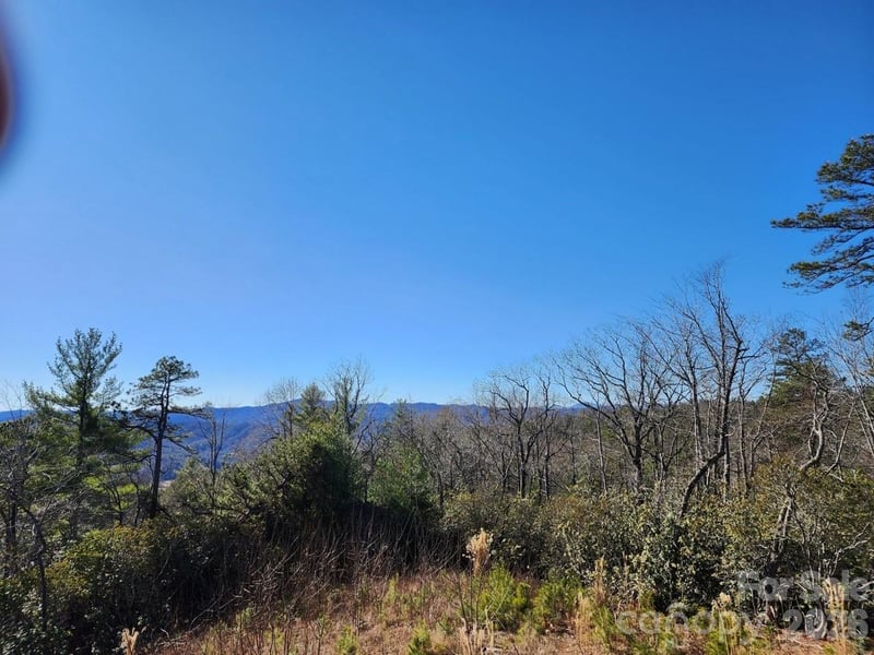 9999 Bulling Creek Rd, Penrose, NC 28766