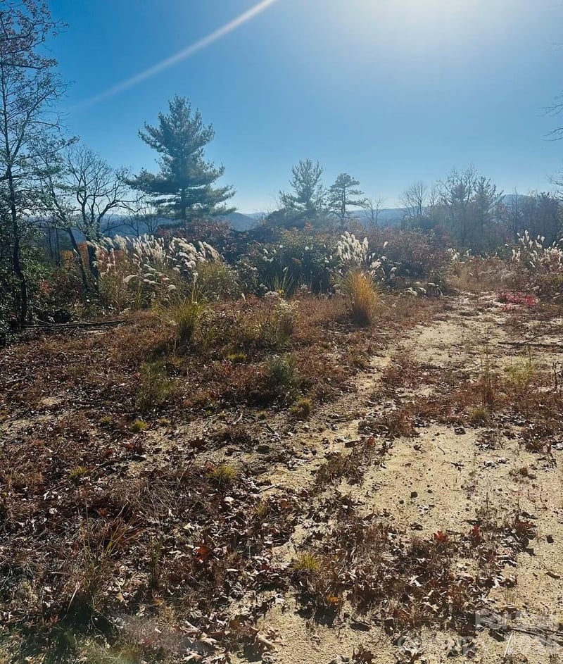 9999 Bulling Creek Rd, Penrose, NC 28766