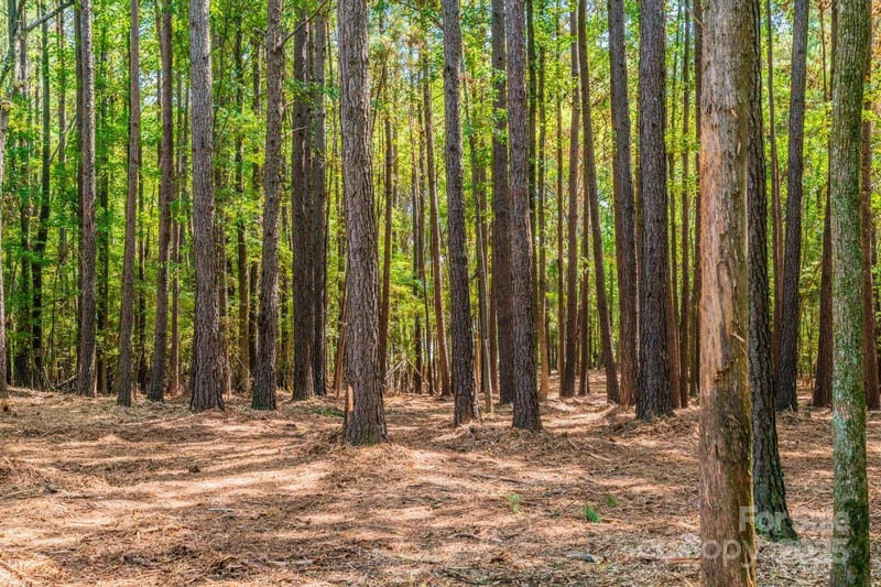 00 Concord Rd Lot 6, York, SC 29745