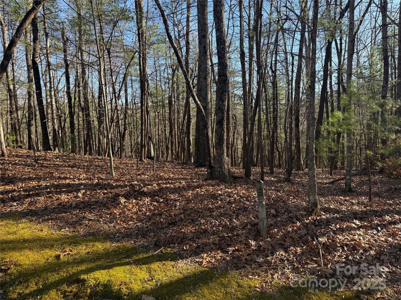 VL Spanish Oak Dr #9, Cedar Mountain, NC 28718