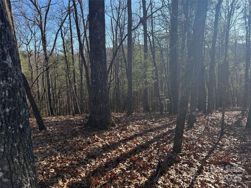 VL Spanish Oak Dr #9, Cedar Mountain, NC 28718