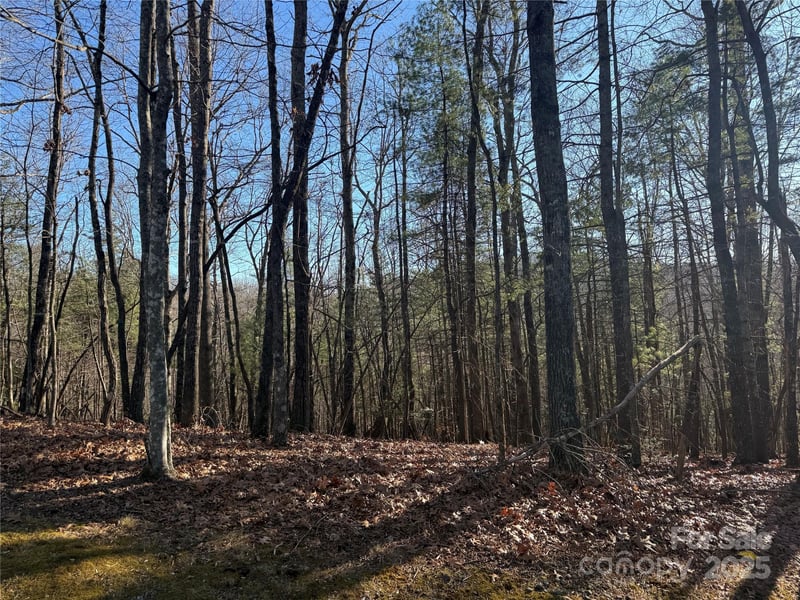 VL Spanish Oak Dr #9, Cedar Mountain, NC 28718
