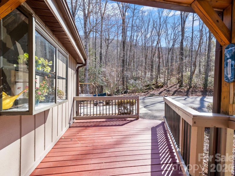 111 Buckeye Rd, Lake Lure, NC 28746