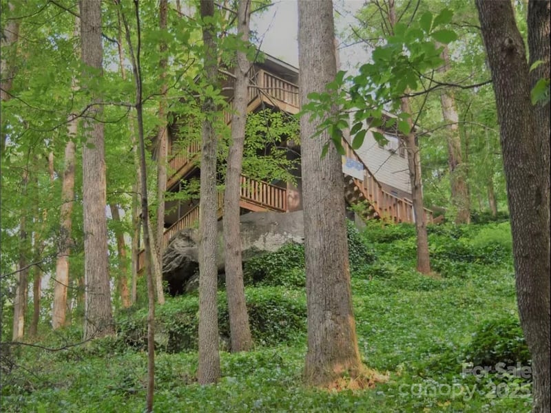 950 Main St #5, Chimney Rock, NC 28720