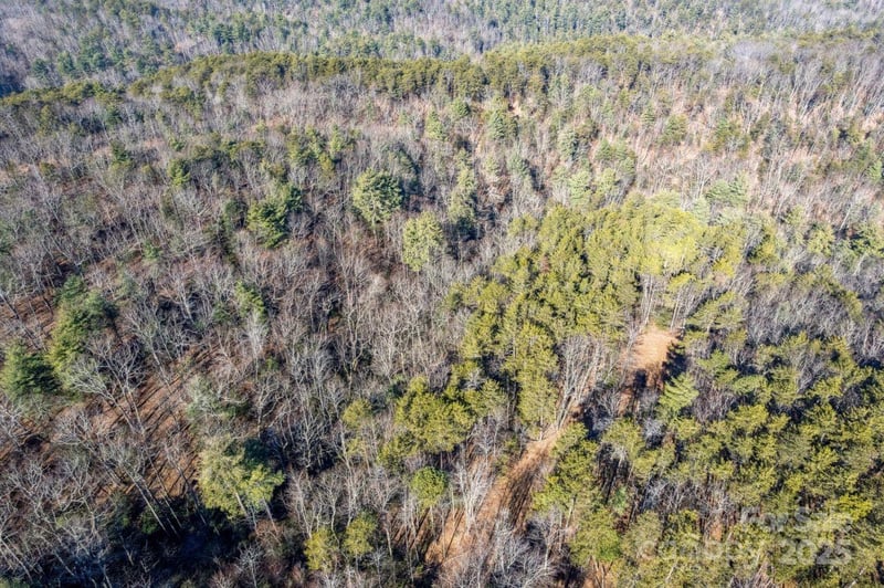 Sassafras Ln, Connelly Springs, NC 28612