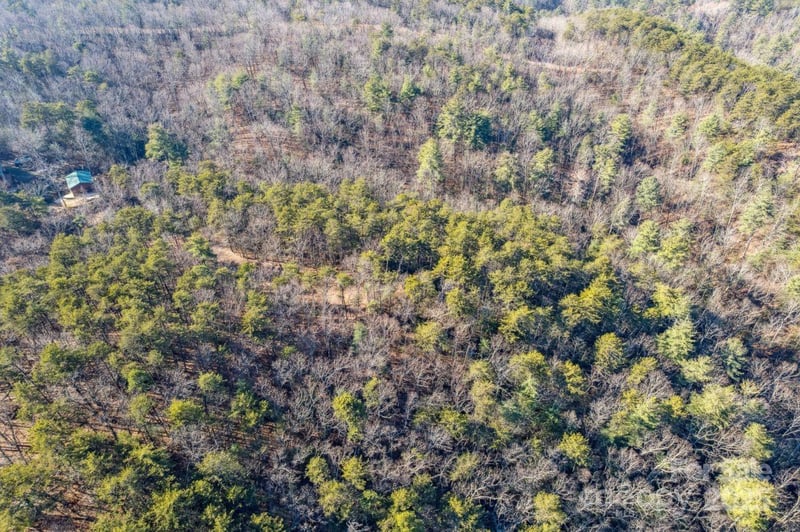 Sassafras Ln, Connelly Springs, NC 28612