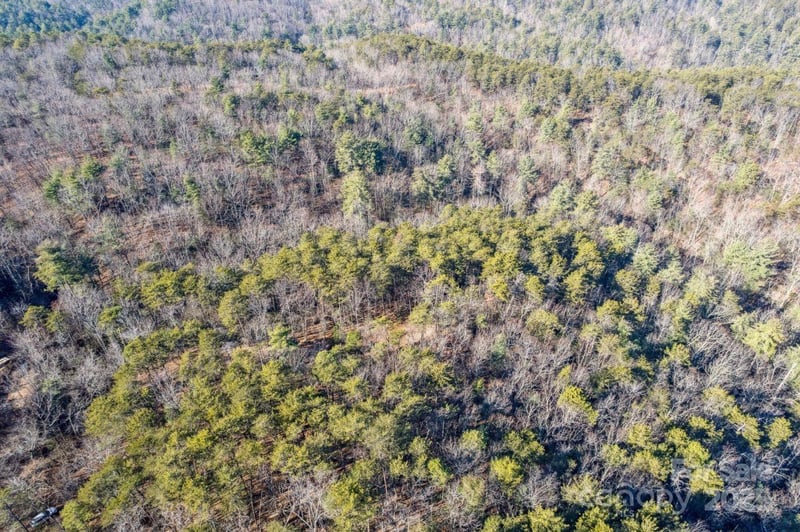 Sassafras Ln, Connelly Springs, NC 28612