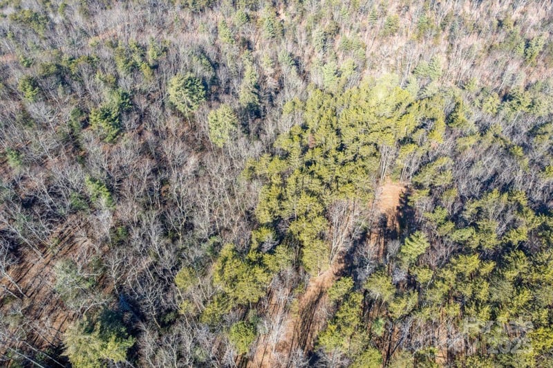 Sassafras Ln, Connelly Springs, NC 28612