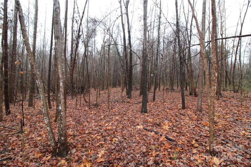 Bess Rd LOT F, Bessemer City, NC 28016