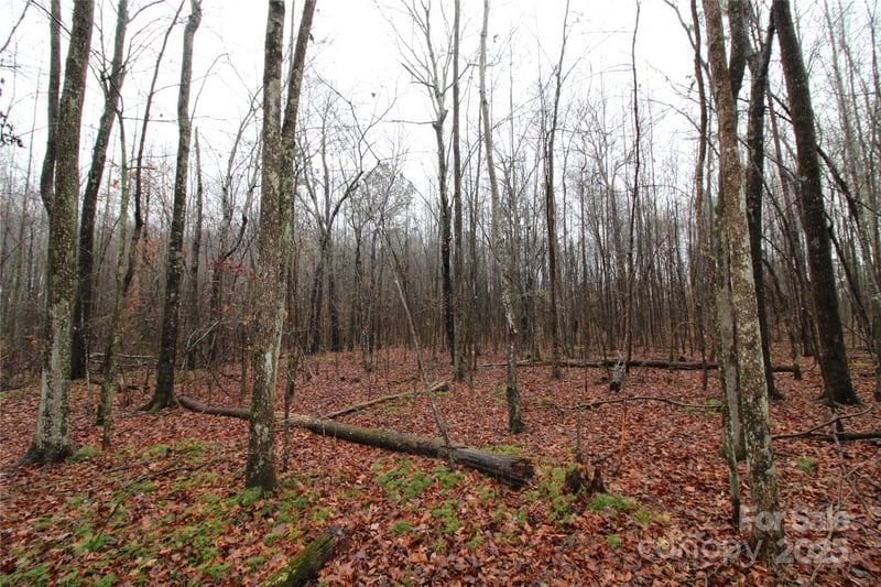 Bess Rd LOT J, Bessemer City, NC 28016