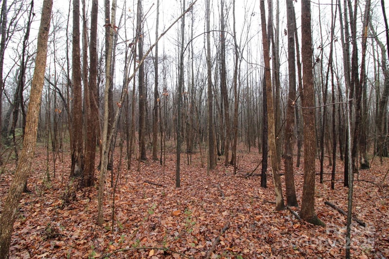 Eaker Rd LOT P, Bessemer City, NC 28016
