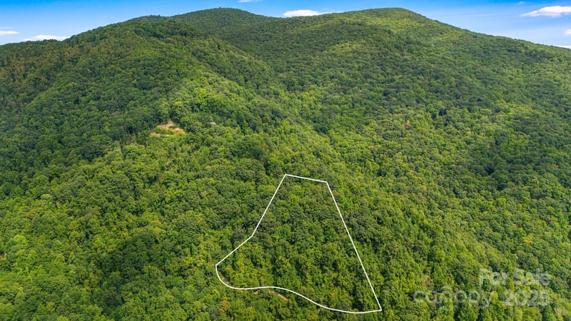 Lot 21 Cat Pen Branch Rd, Hot Springs, NC 28743