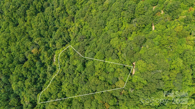 Lot 21 Cat Pen Branch Rd, Hot Springs, NC 28743