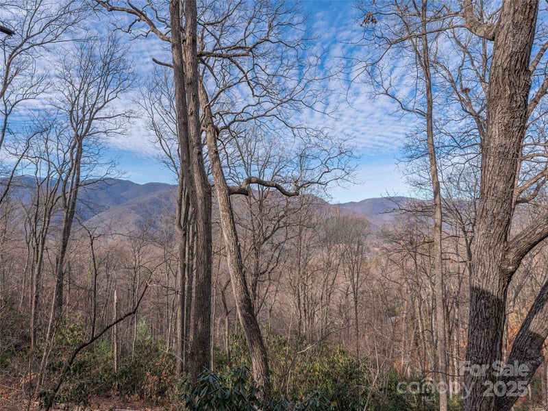 1392 Mount Chalet Rd, Canton, NC 28716