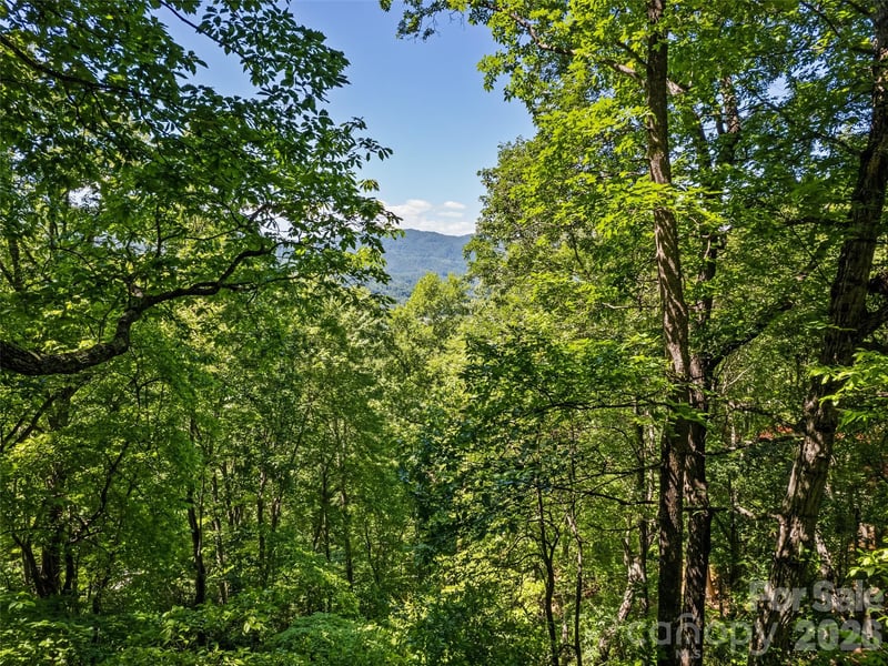 1392 Mount Chalet Rd, Canton, NC 28716