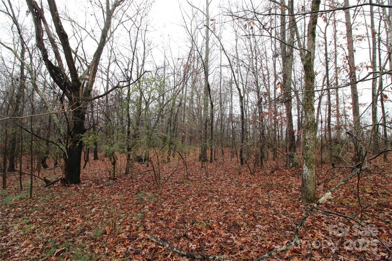 Bess Rd LOT L, Bessemer City, NC 28016