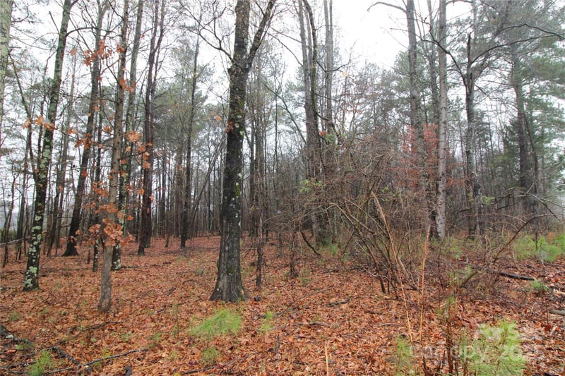 Bess Rd LOT L, Bessemer City, NC 28016
