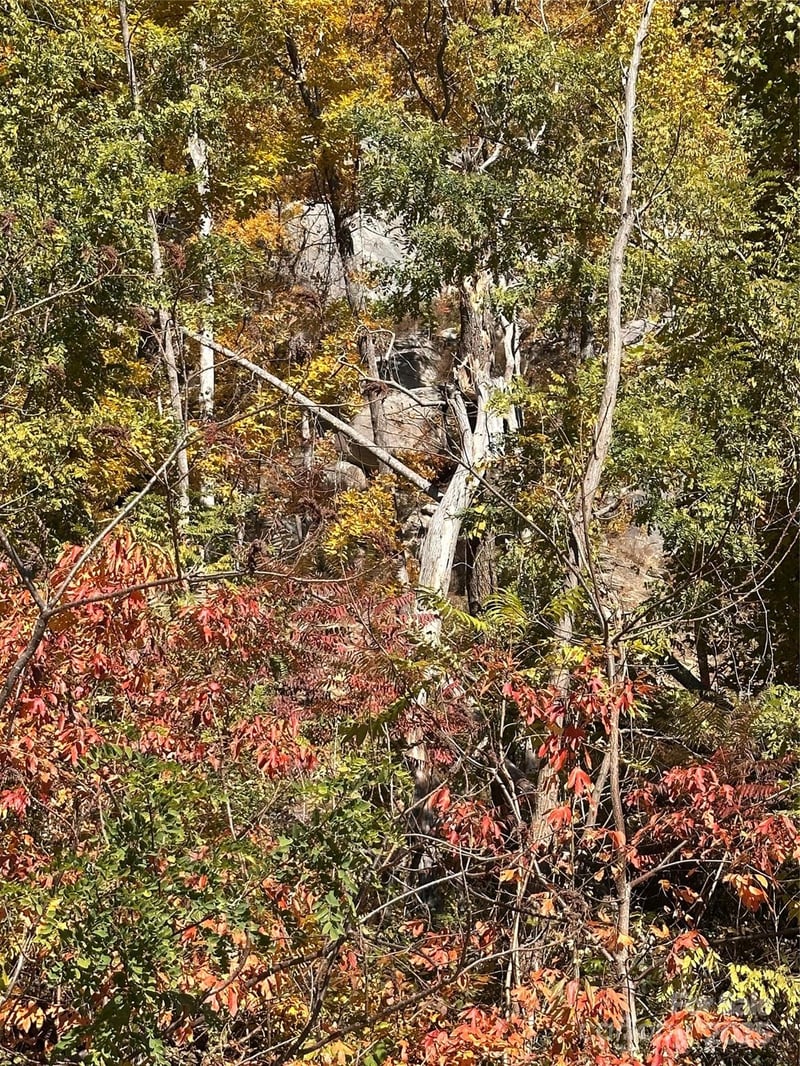 000 Cascada Vista Dr, Chimney Rock, NC 28720
