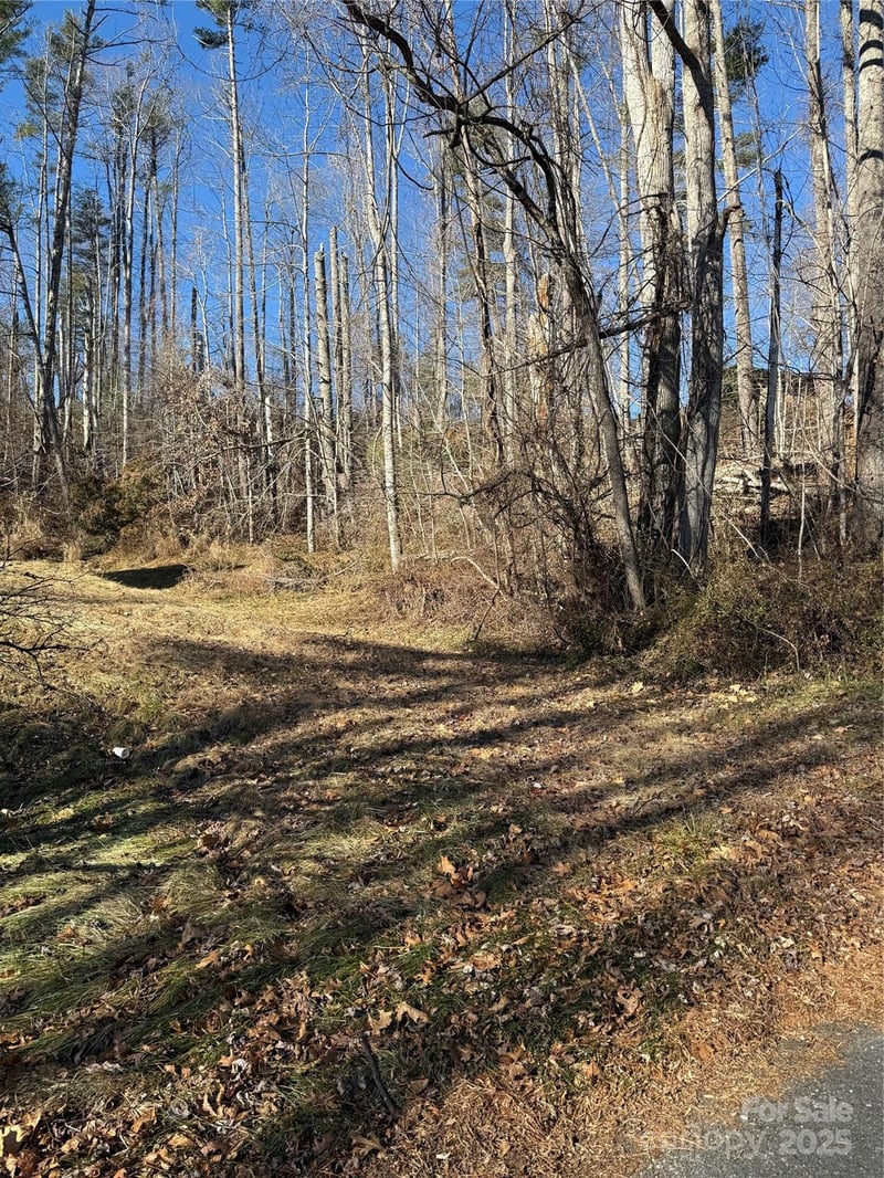 TBD George Mckinney Cir, Spruce Pine, NC 28777