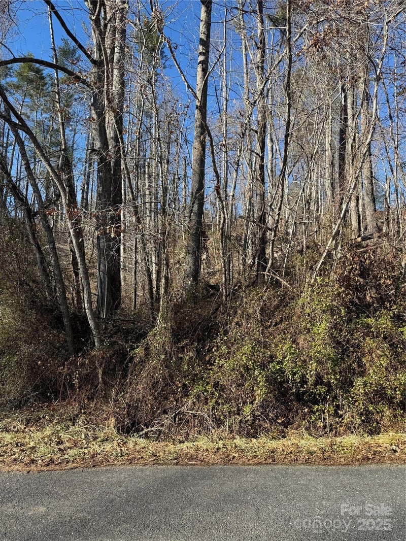 TBD George Mckinney Cir, Spruce Pine, NC 28777