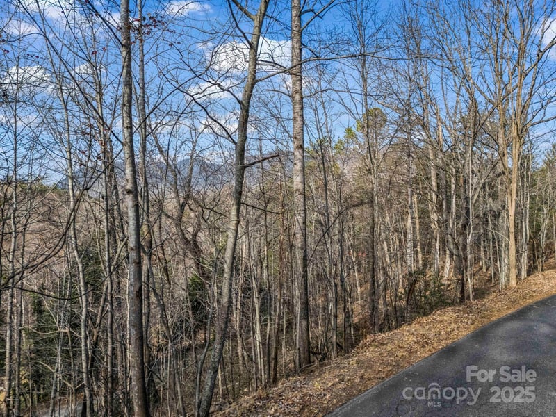 0000 Holmes Rd, Lake Lure, NC 28746