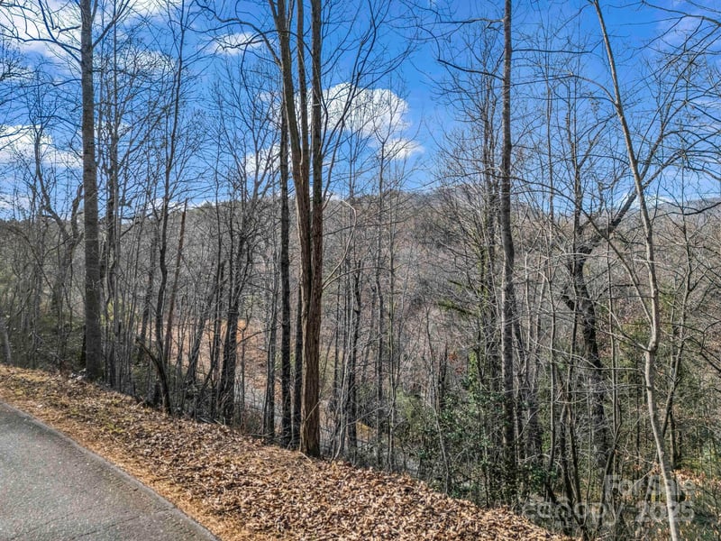 0000 Holmes Rd, Lake Lure, NC 28746
