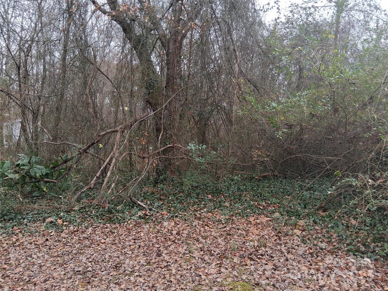 111 Parmer St, Forest City, NC 28043