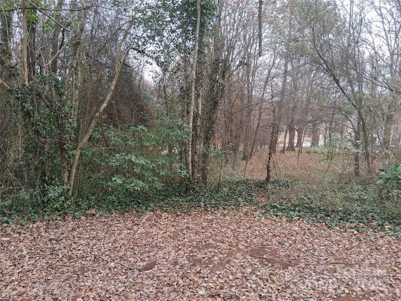 111 Parmer St, Forest City, NC 28043