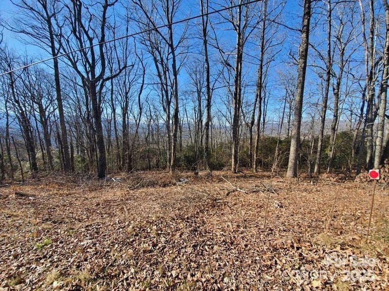 TBD Henredon Rd, Spruce Pine, NC 28777