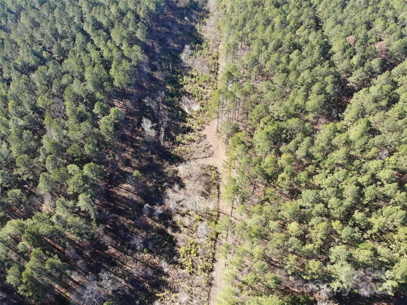 14B Dutchman Creek Rd, Ridgeway, SC 29130