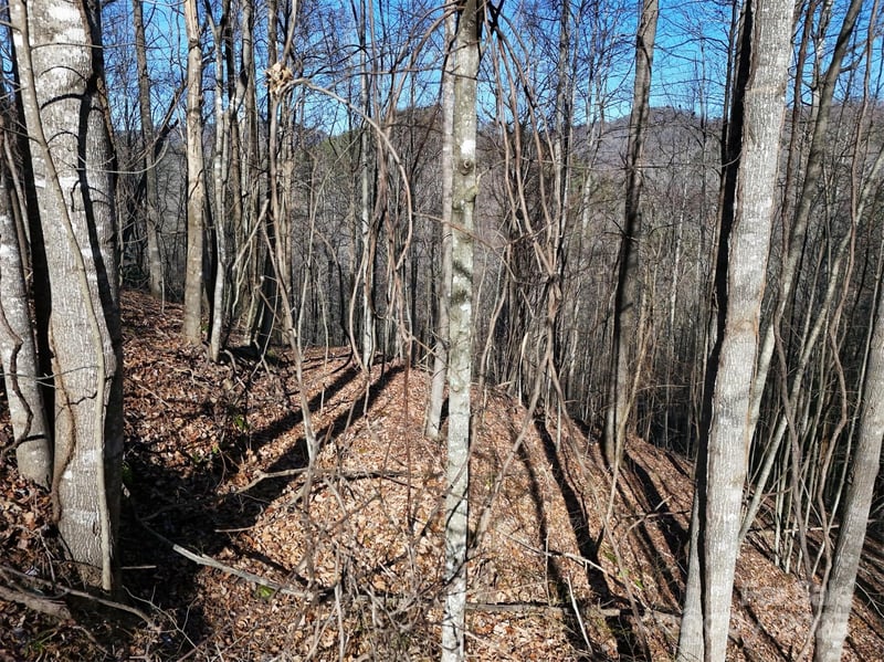 9999 Vacation Way #12, Millers Creek, NC 28651