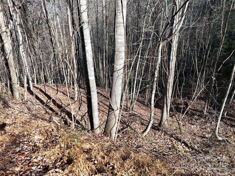 9999 Vacation Way #12, Millers Creek, NC 28651