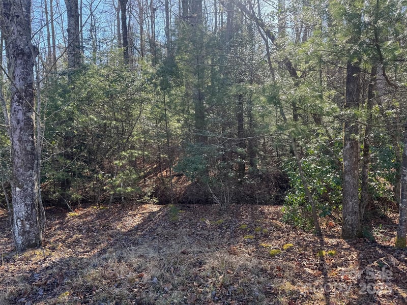 000 Small Creek Rd, Brevard, NC 28712