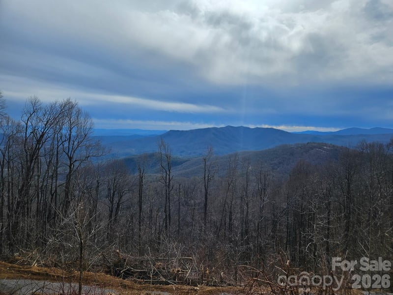 TBD Osborne Knob Rd, Little Switzerland, NC 28749