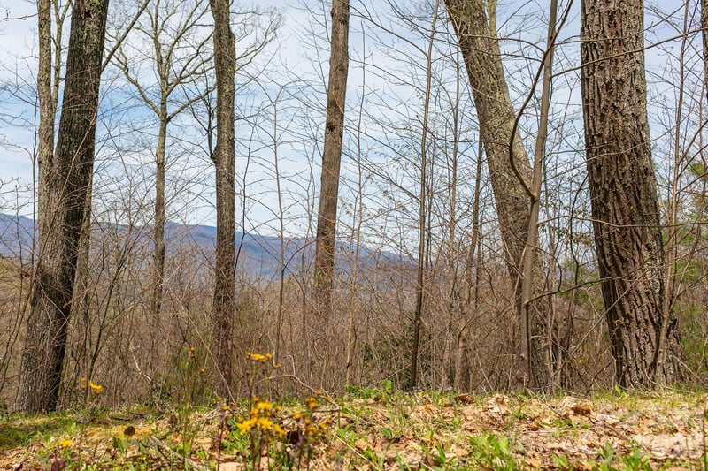 Lot 2 Heritage Ridge Loop, Burnsville, NC 28714